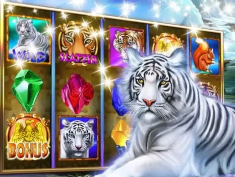 arctic tiger spins