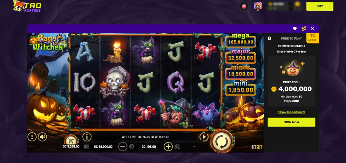 Rags to Witches slot game by Betsoft